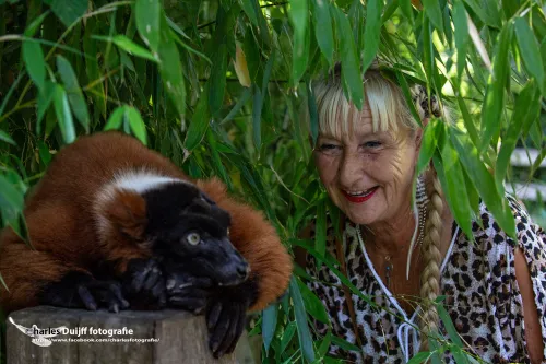 aap en miep door bladeren