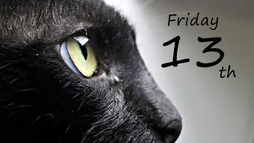 black cat 3840962 1920 black1 915x518 1