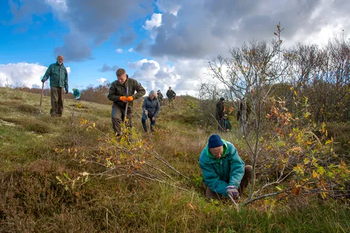 boompjes verwijderen vrijwilligers m frowijn kopieren