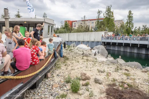 boot publiek en pinguins