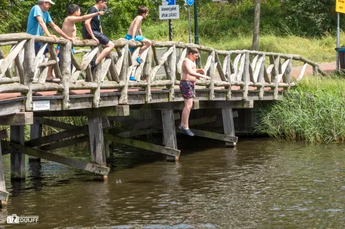brug springen 2