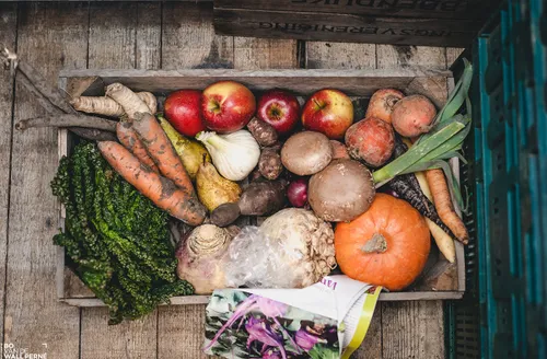 buurderij alkmaar streekmarkt2