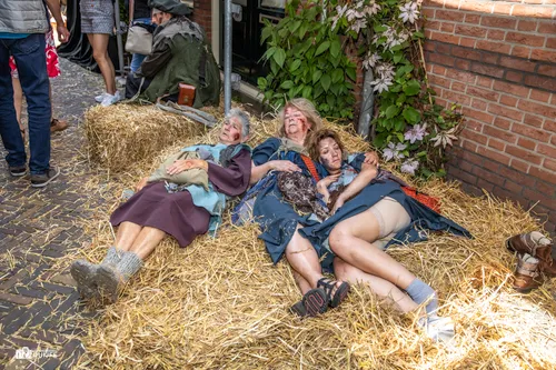 dames grond art