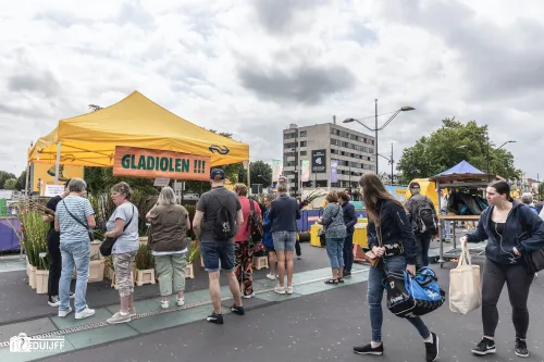 gladiolen bij station