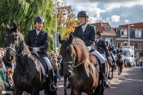 grote optocht paarden