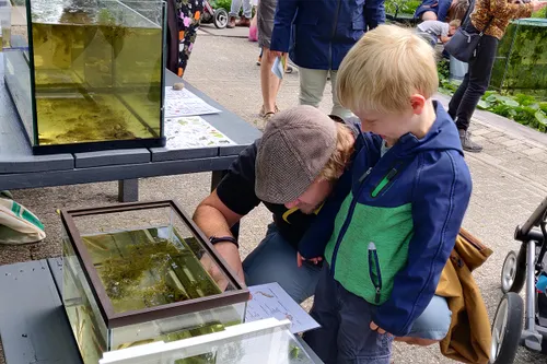 img 20210808 140952 1