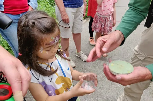 img 20220710 153344 kopieren