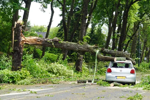 img 20230705 wa0089 kopieren