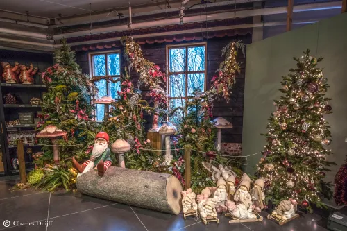 kabouter op boomstam