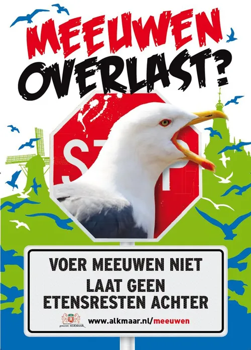 meeuwenposter