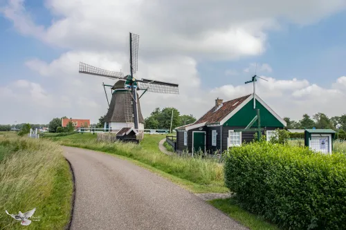 molen akersloot