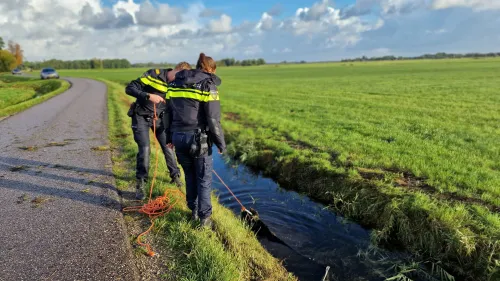 schapenlaan 4