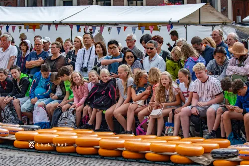 scholieren kaasmarkt