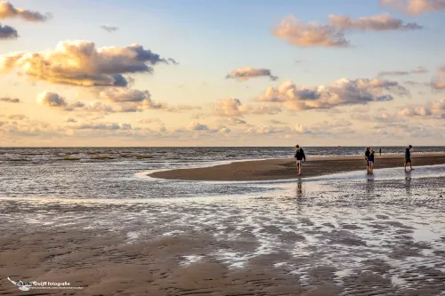 strangers on the shore