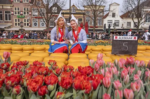 tulpenkaasmarkt kaasmeisjes fotografie rick akkerman min