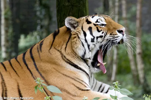 tumblr mwrl3ds6il1svvyvco1 1280