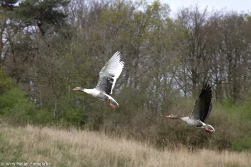 tumblr n3phfz6pd31svvyvco9 1280 1024x683 1