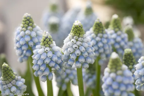 tumblr nmpio4g27k1svvyvco3 1280