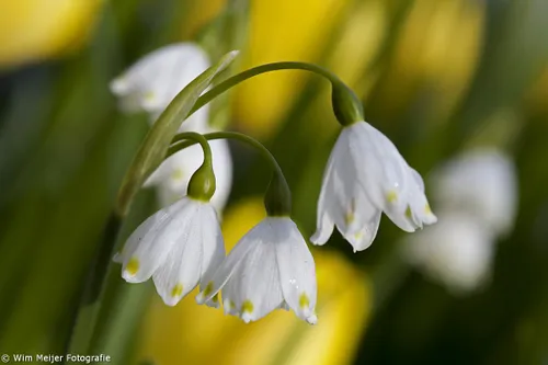 tumblr nn0mz8bigp1svvyvco3 1280