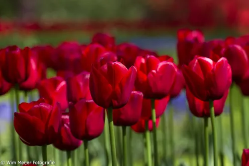 tumblr noccs1pm5u1svvyvco7 1280