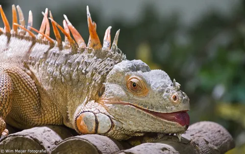 tumblr nu1ujkjxqx1svvyvco1 1280