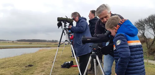 vogelkijkdagen landschap noord holland foto ilse miedema
