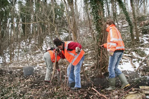 vrijwilligers in oranje hesjes beschermen padden foto lnh
