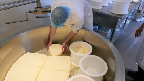 vullen vaten alkmaars goud