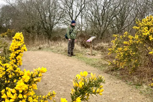 wandelaar bij fotopaneel in het zwanenwater2