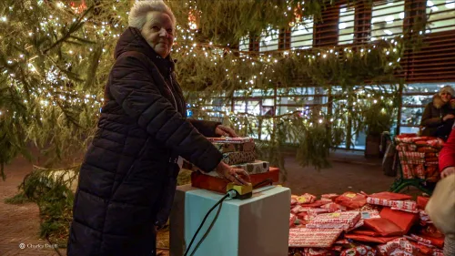 weth konijn ontst boom