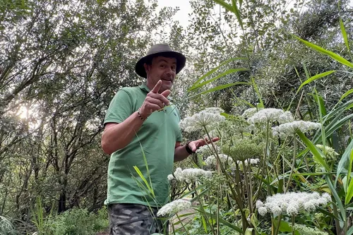 whatsapp image 2023 08 12 at 104810 kopieren