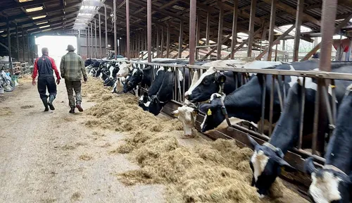 whatsapp image 2023 11 04 at 171803