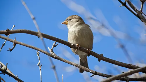 wim meijer fotografie mg 9410