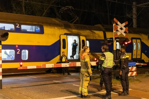 131be13d 6832 41e7 ba6e 0787e823183f