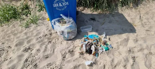 strand Petten juli 2025 nr 1