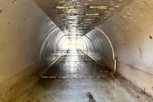 IMG-20250819-WA0006 kopiëren