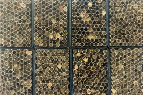 Aardemonster_MartijnEngelbregt1