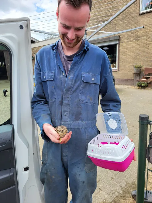 448756109 969007791902640 7366046678788899844 n