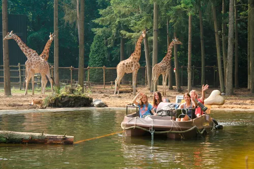 dierenpark amersfoort
