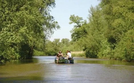 48911 fullimage article image national park de biesbosch high rgb 3771 470x294