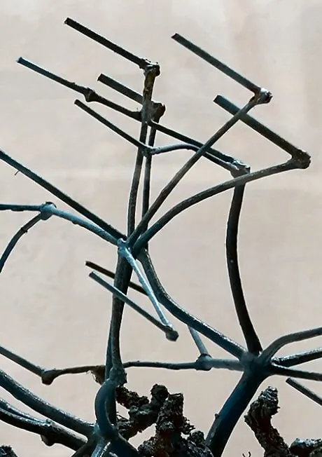 wwwnoord hollandnluploadfb928932 2acc 4f55 972b cd9e20497280 1505tafelsbuisman6 460 3bc965343c77cc74997166efb74c5784f8bd4490