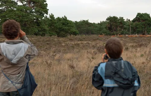 52ff6500 4c4f 4bb6 b3bd 53b80f6d953b