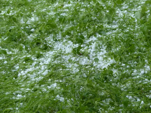 hailstones 123044