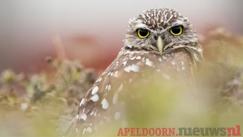 ontwerp zonder titel 14