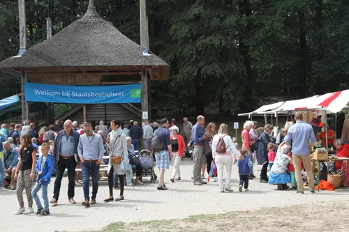 schapen schweren hoog buurlo hanneke astegeman