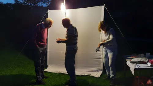 nachtvlinders op laken