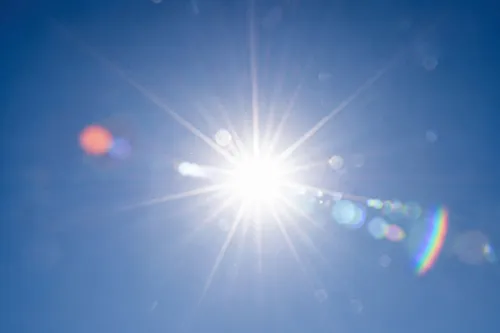 zon (2)