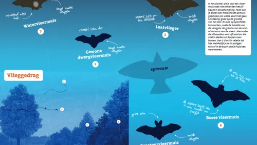 2020 05 23 11h07 01 915x518