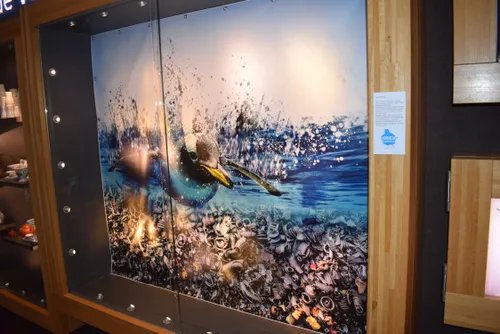 arnhem plasticvrij 1