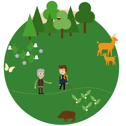 buiten het broedzeizoenzone dprovincie gelderland1625831745073